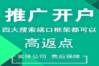 某知名企业SEM营销全案解析