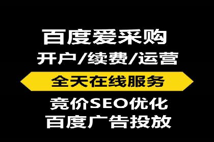 搜索引擎营销（SEM）成功运营的五大案例